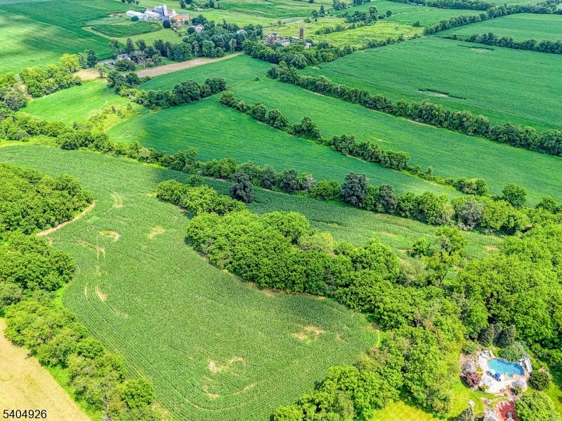 8 Roseberry Road Washington, NJ 07882 - Photo 24 of 24 a view of a garden with a plant