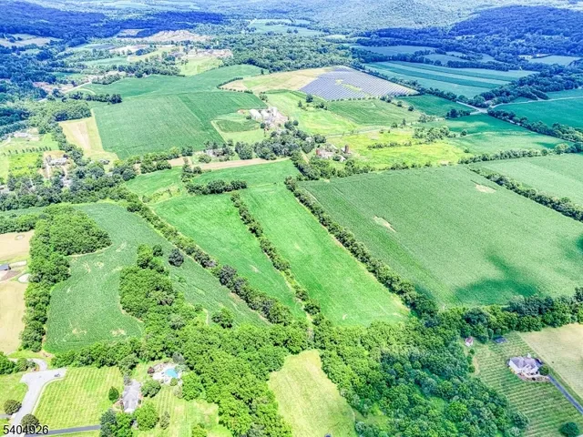 a view of a green field with lots of plants in it