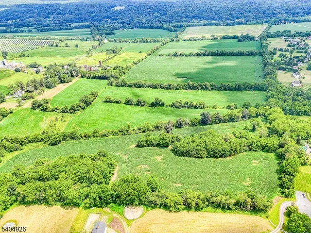 a view of a green field with lots of green plants