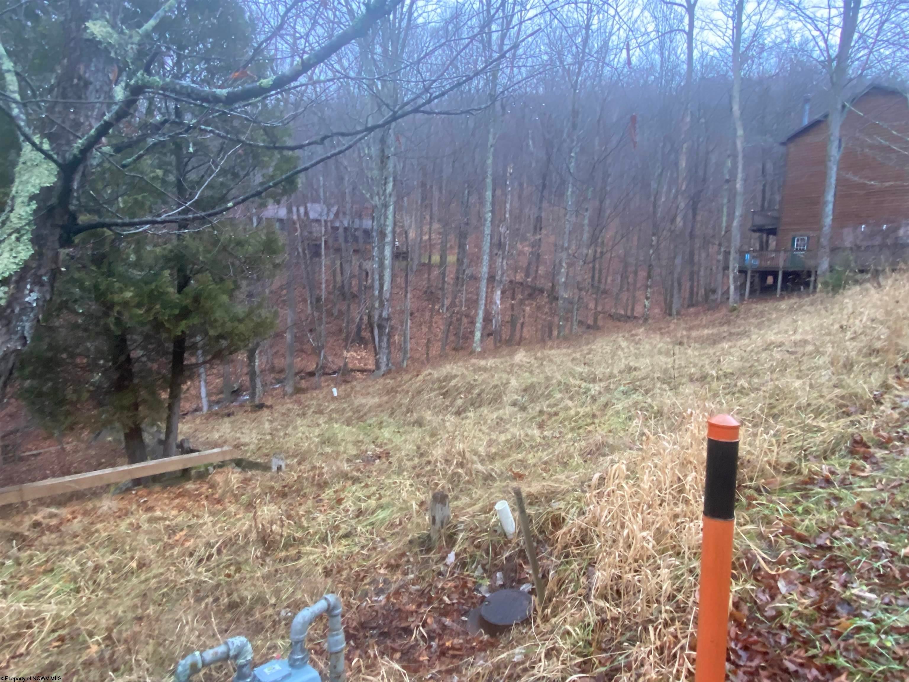 Lot 72 Brookside Road Davis, WV 26260 - Photo 5 of 14 Gallery Image 5