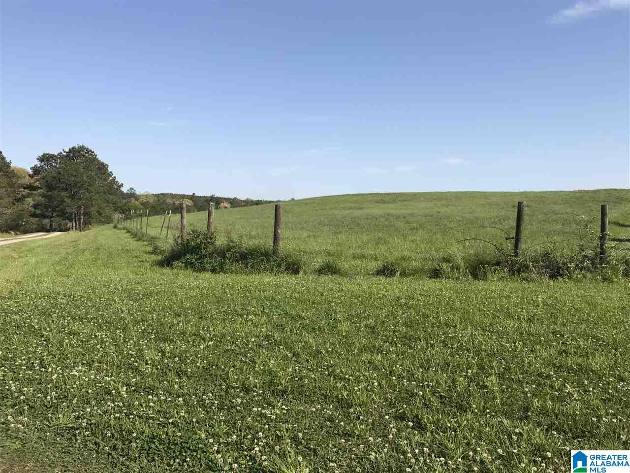 626 Smith Road Oneonta, AL 35121 - Photo 46 of 47