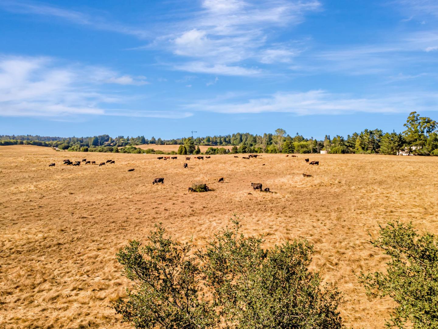 222 Highview Drive Santa Cruz, CA 95060 - Photo 19 of 29 a view of an ocean beach