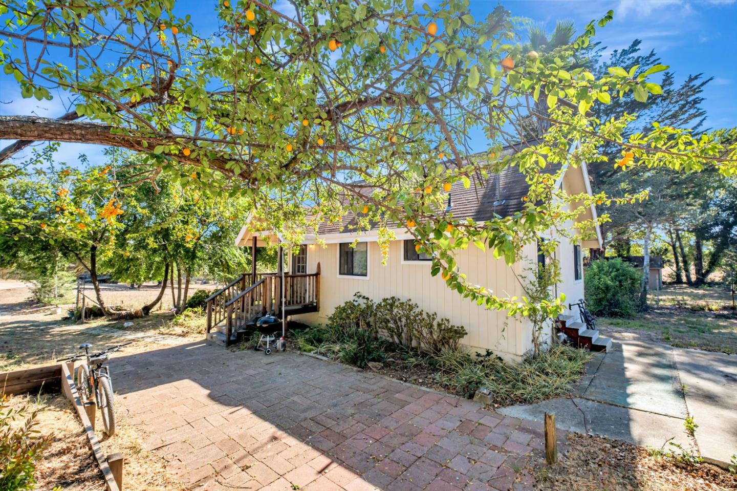 222 Highview Drive Santa Cruz, CA 95060 - Photo 22 of 29 a view of a park with plants and trees