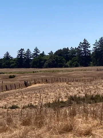 a view of a yard with an ocean view