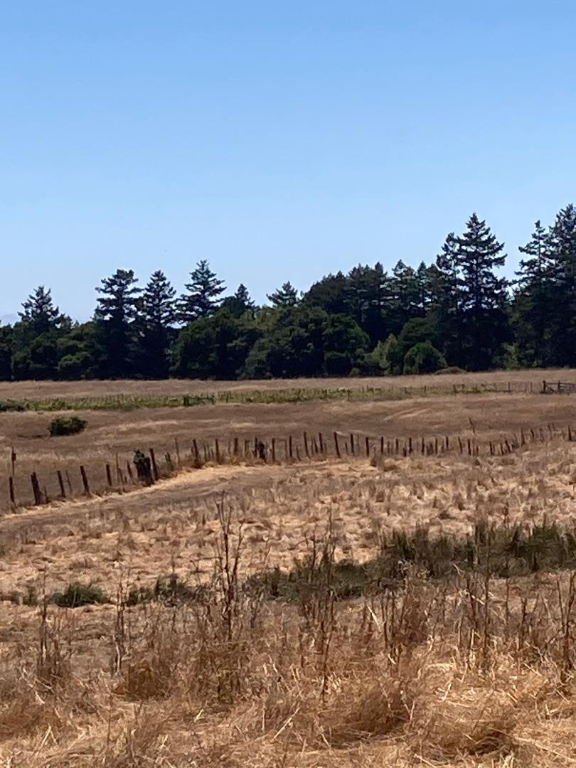 222 Highview Drive Santa Cruz, CA 95060 - Photo 4 of 29 a view of a yard with an ocean view