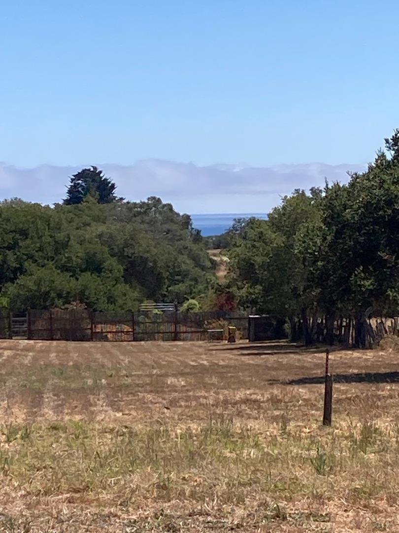 222 Highview Drive Santa Cruz, CA 95060 - Photo 5 of 29 a view of a backyard