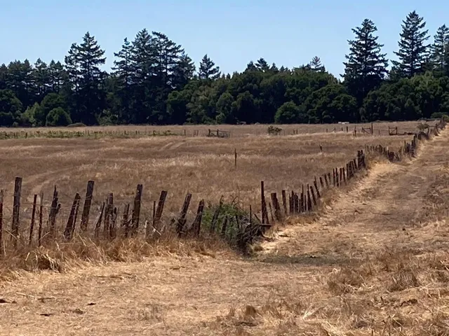 a view of a yard with wooden fence