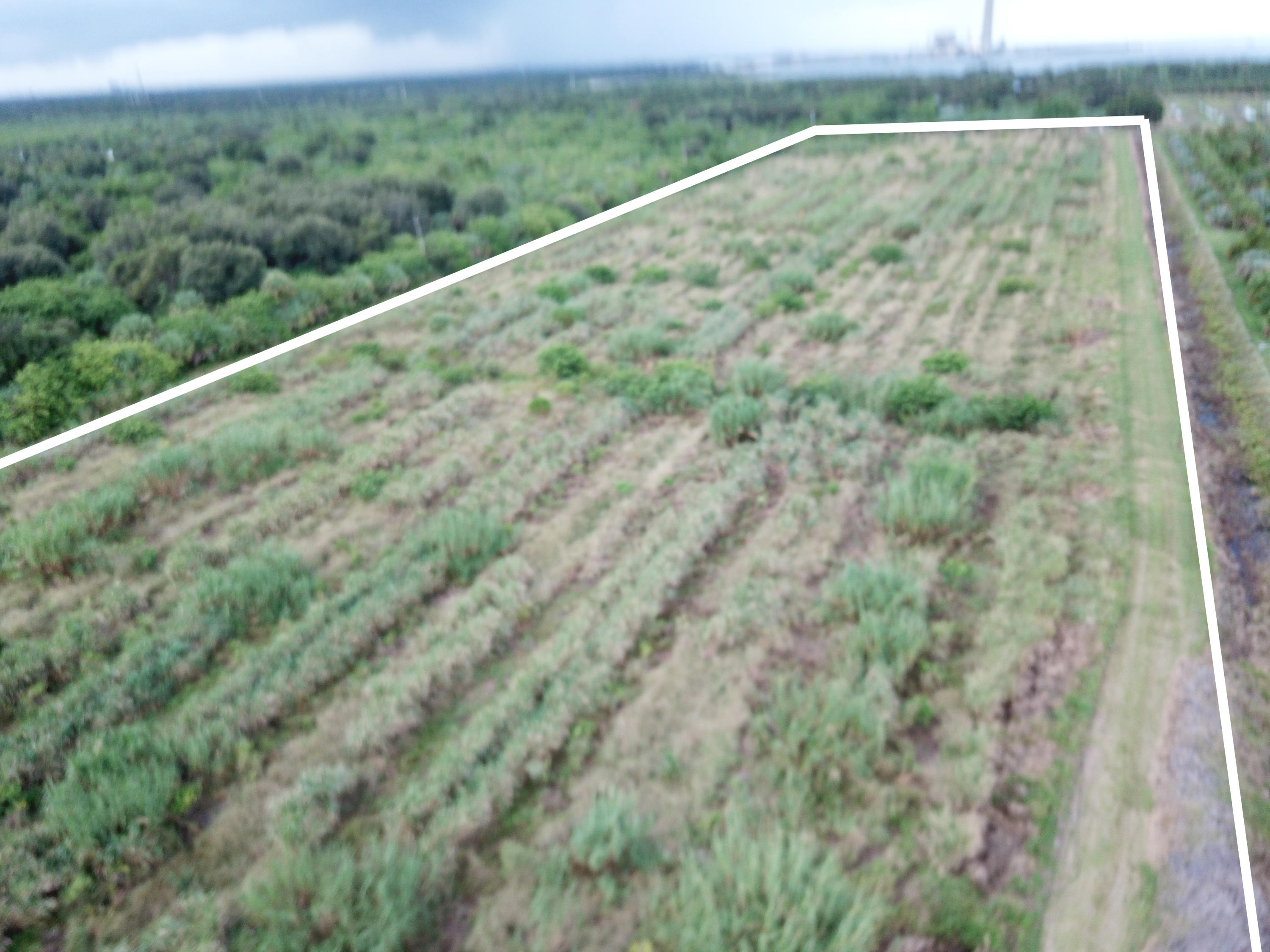 Aaa Southwest Arrowroot Road Indiantown, FL 34956 - Photo 1 of 6 114