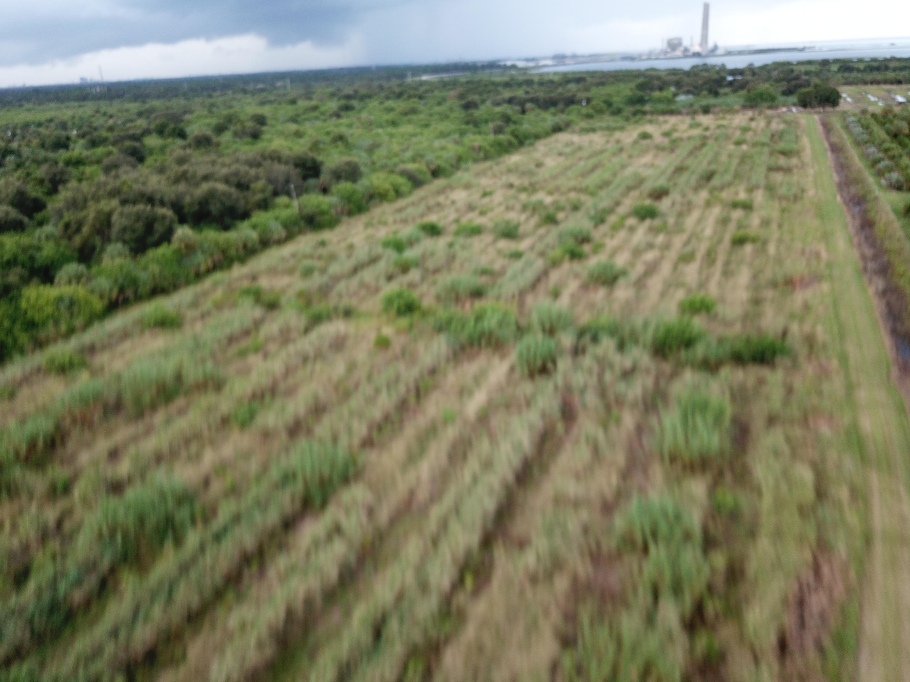 Aaa Southwest Arrowroot Road Indiantown, FL 34956 - Photo 3 of 6 112JPG