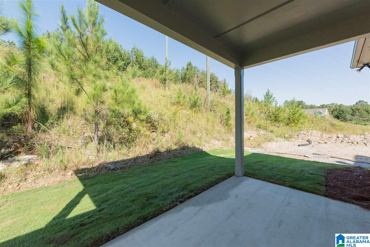 334 Appleford Road Helena, AL 35080 - Photo 34 of 34