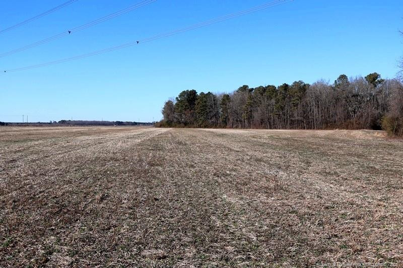 Tbd South Old Wire Road Red Springs, NC 28377 - Photo 13 of 38 Photo 13