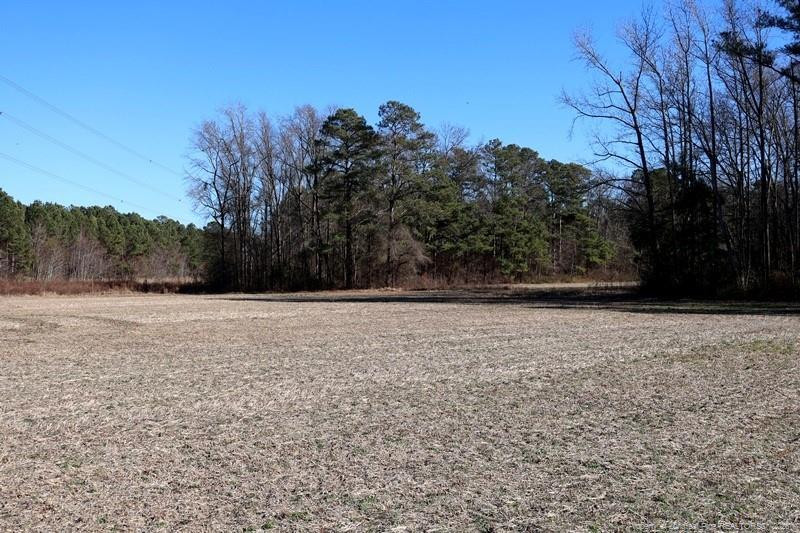 Tbd South Old Wire Road Red Springs, NC 28377 - Photo 17 of 38 Photo 17