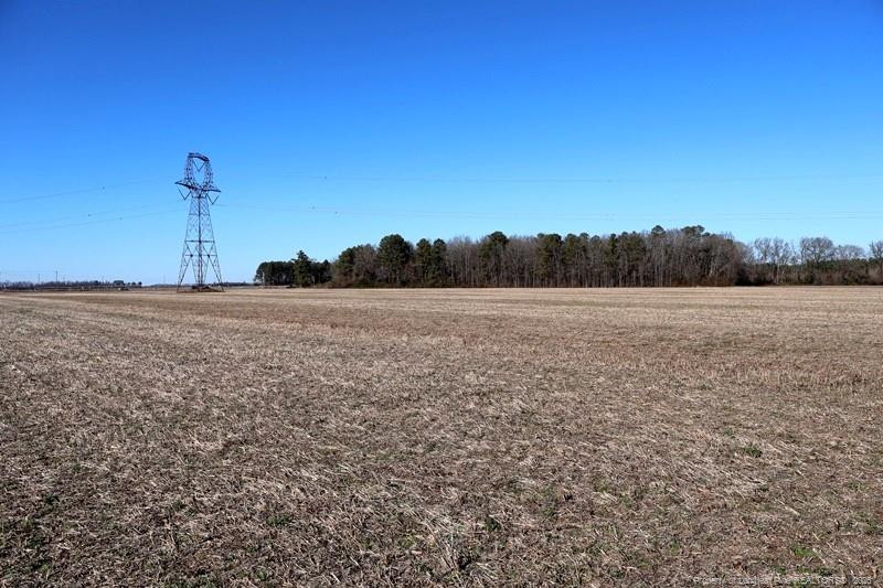 Tbd South Old Wire Road Red Springs, NC 28377 - Photo 22 of 38 Photo 22