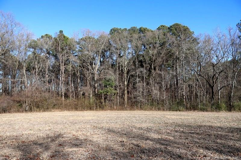 Tbd South Old Wire Road Red Springs, NC 28377 - Photo 25 of 38 Photo 25