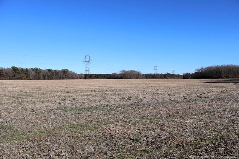 Tbd South Old Wire Road Red Springs, NC 28377 - Photo 33 of 38 Photo 33