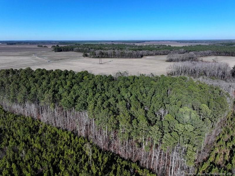 Tbd South Old Wire Road Red Springs, NC 28377 - Photo 5 of 38 Photo 5