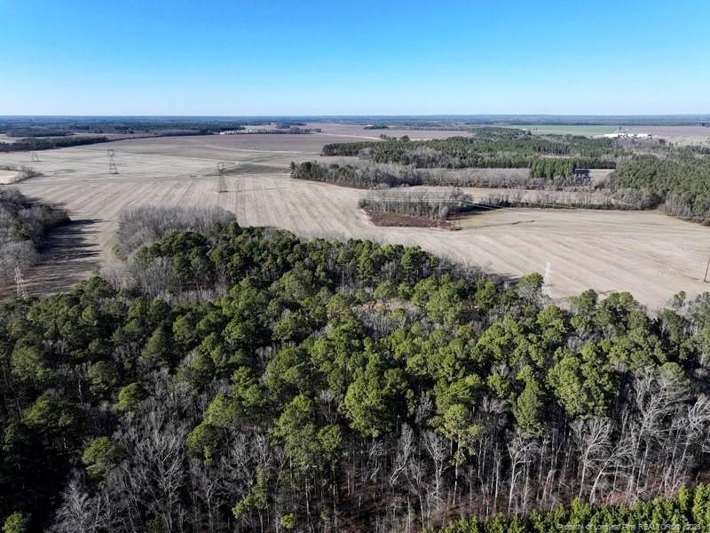 Tbd South Old Wire Road Red Springs, NC 28377 - Photo 8 of 38 Photo 8