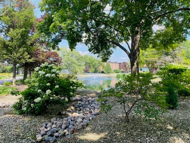 a backyard of a house with lots of green space