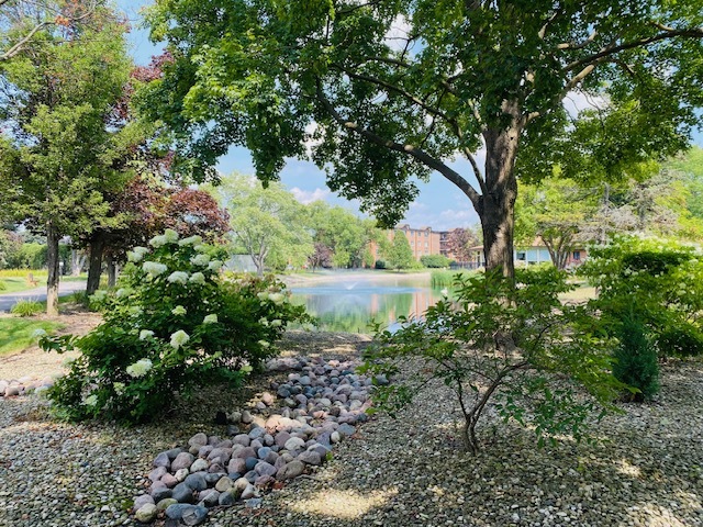 1217 South Old Wilke Road, Unit 11406 Rolling Meadows, IL 60005 - Photo 18 of 27