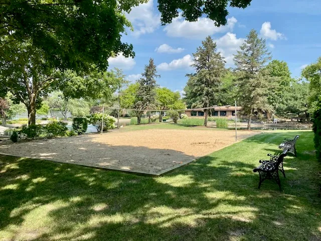 a view of yard with green space