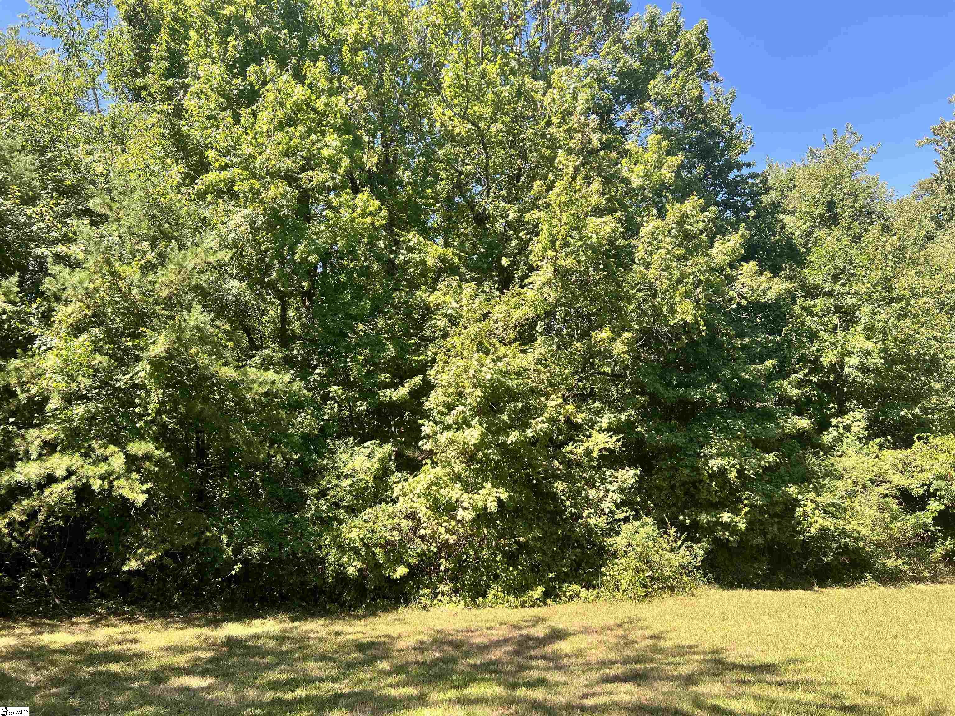 301 McConnell Road Taylors, SC 29687 - Photo 6 of 11