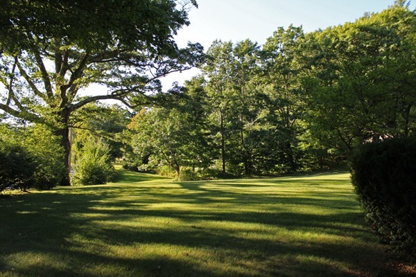 70 Buckland Road Ashfield, MA 01330 - Photo 28 of 30 a view of a big yard with large trees