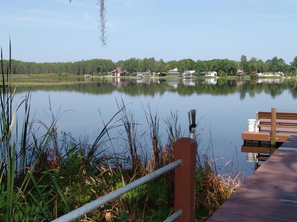 1605 Send Way Lutz, FL 33549 - Photo 17 of 24