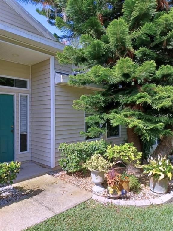 1605 Send Way Lutz, FL 33549 - Photo 2 of 24 a view of a backyard with plants