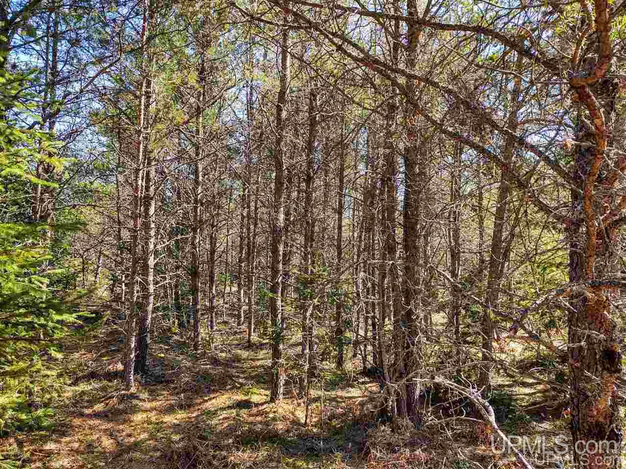 Tbd Forest Hwy 16 Road Iron River, MI 49935 - Photo 15 of 49