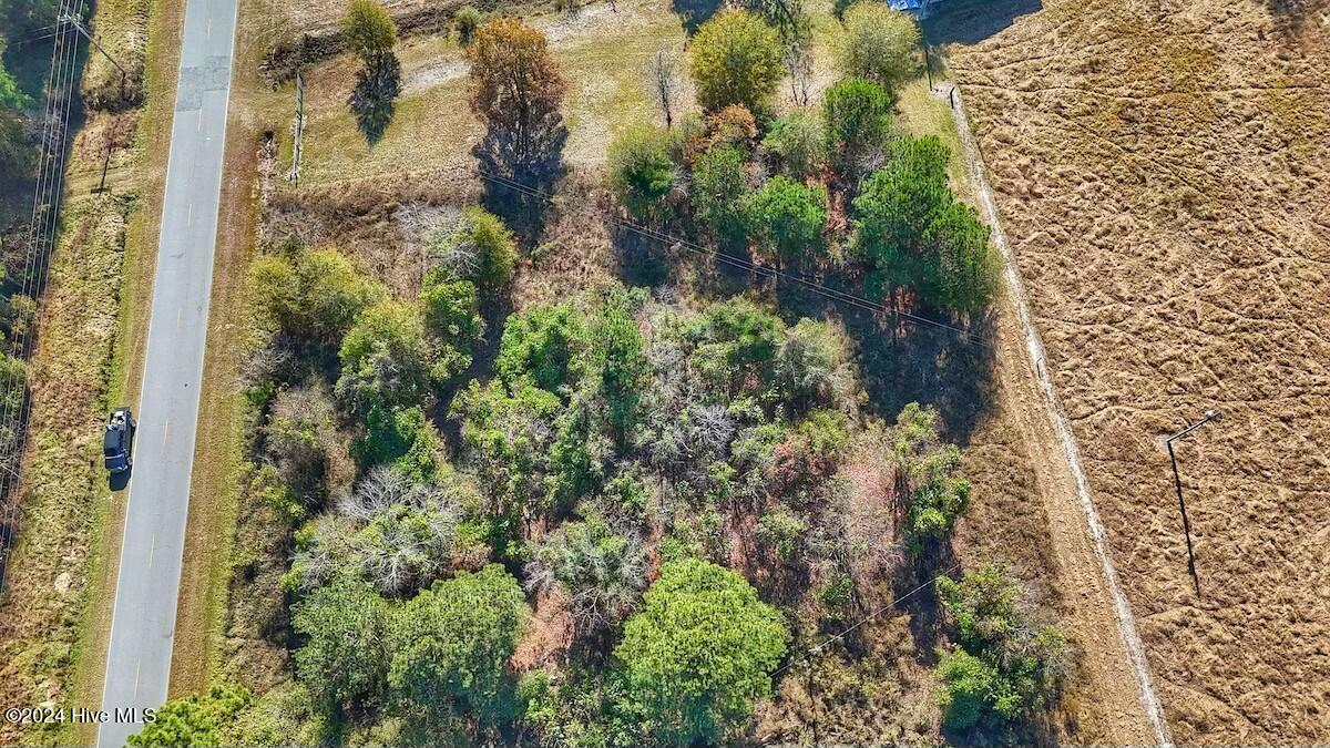 0 County Line Road La Grange, NC 28551 - Photo 13 of 38 tempImageHKZyy6