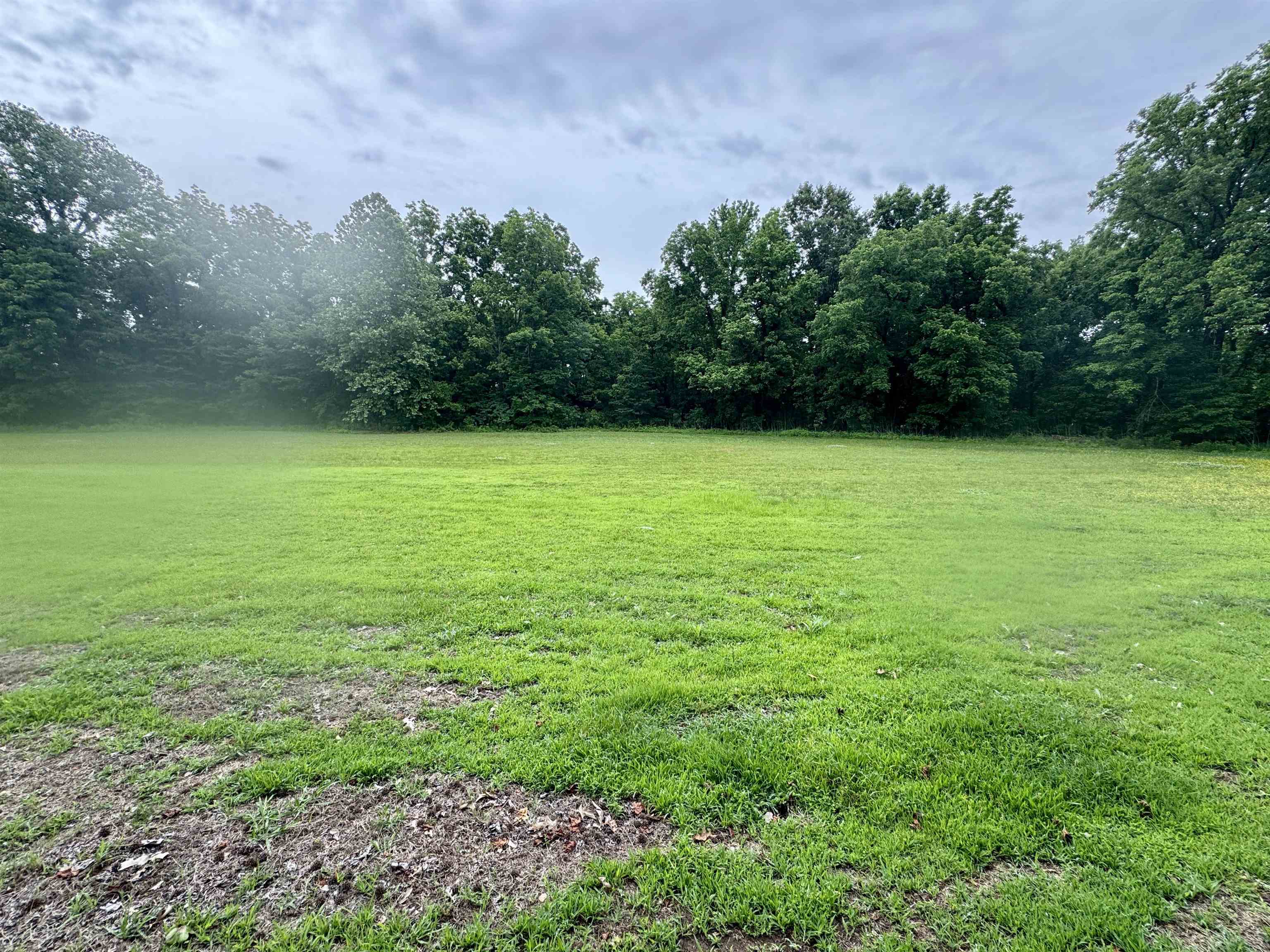 1150 Willie Paris Road Ripley, TN 38063 - Photo 20 of 27
