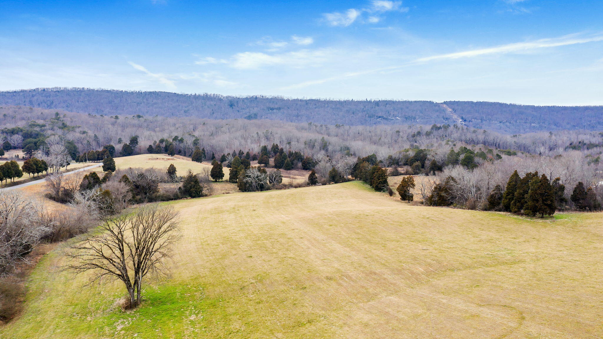 35-ac Ideal Valley Road Spring City, TN 37381 - Photo 9 of 11 9-web-or-mls-DJI_0183