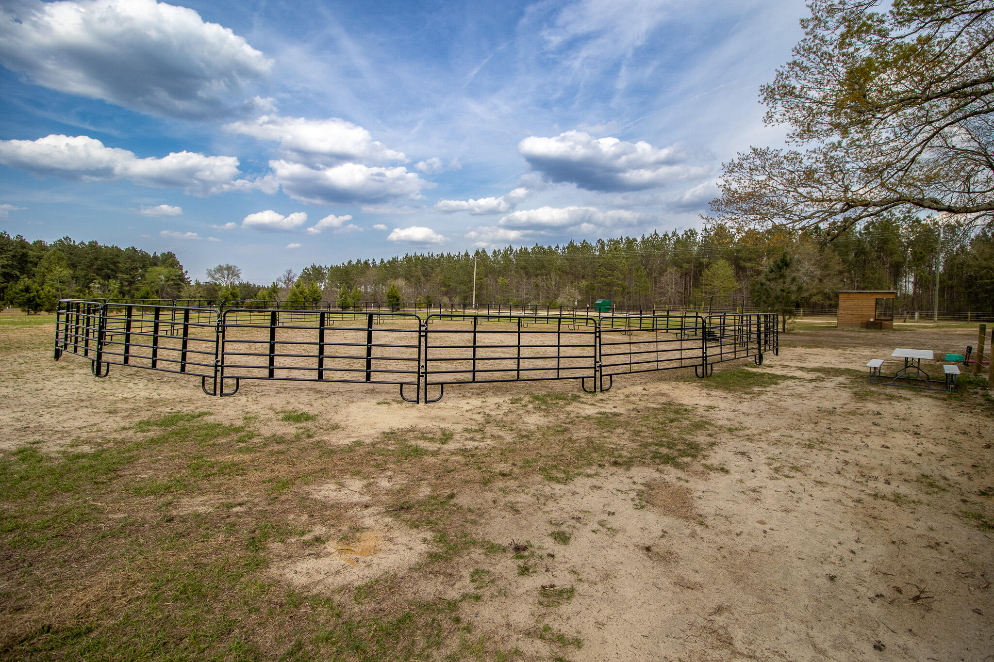 142 Hopewell Road North, SC 29112 - Photo 88 of 112
