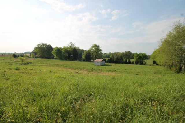 1 Trough Springs Road Adams, TN 37010 - Photo 2 of 2