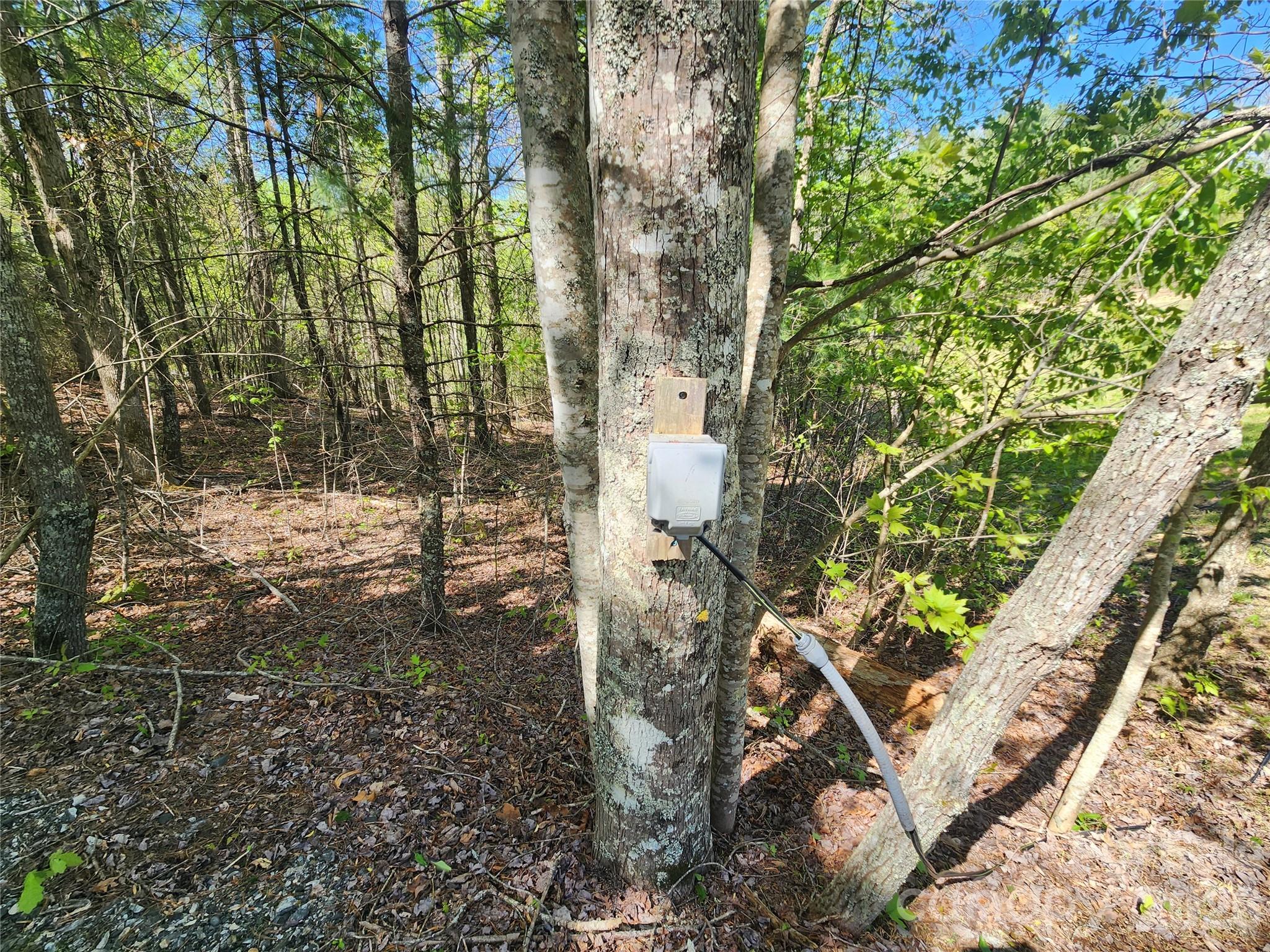 889 Firefly Trail Marshall, NC 28753 - Photo 11 of 35 a backyard of a house with lots of green space