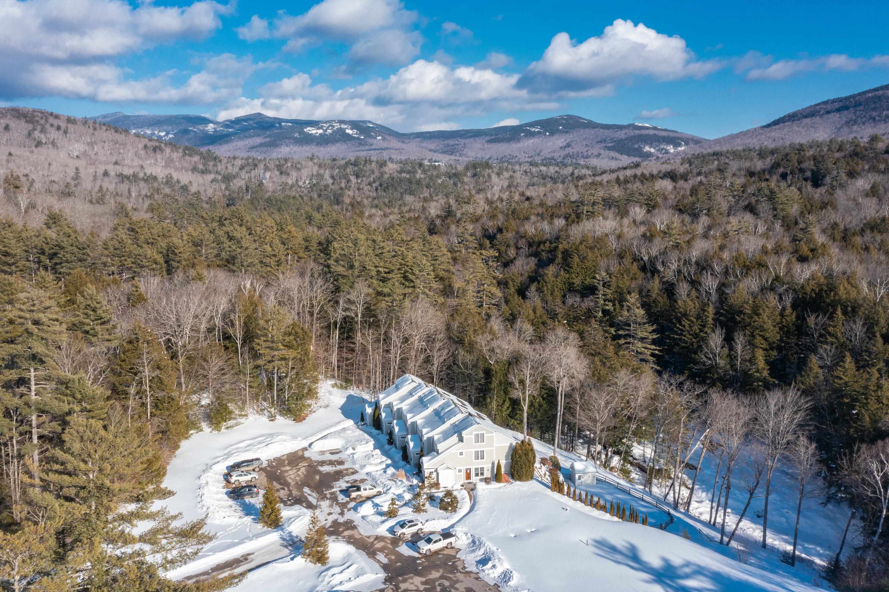 23 Falls Road, Unit 1 Thornton, NH 03285 - Photo 2 of 51