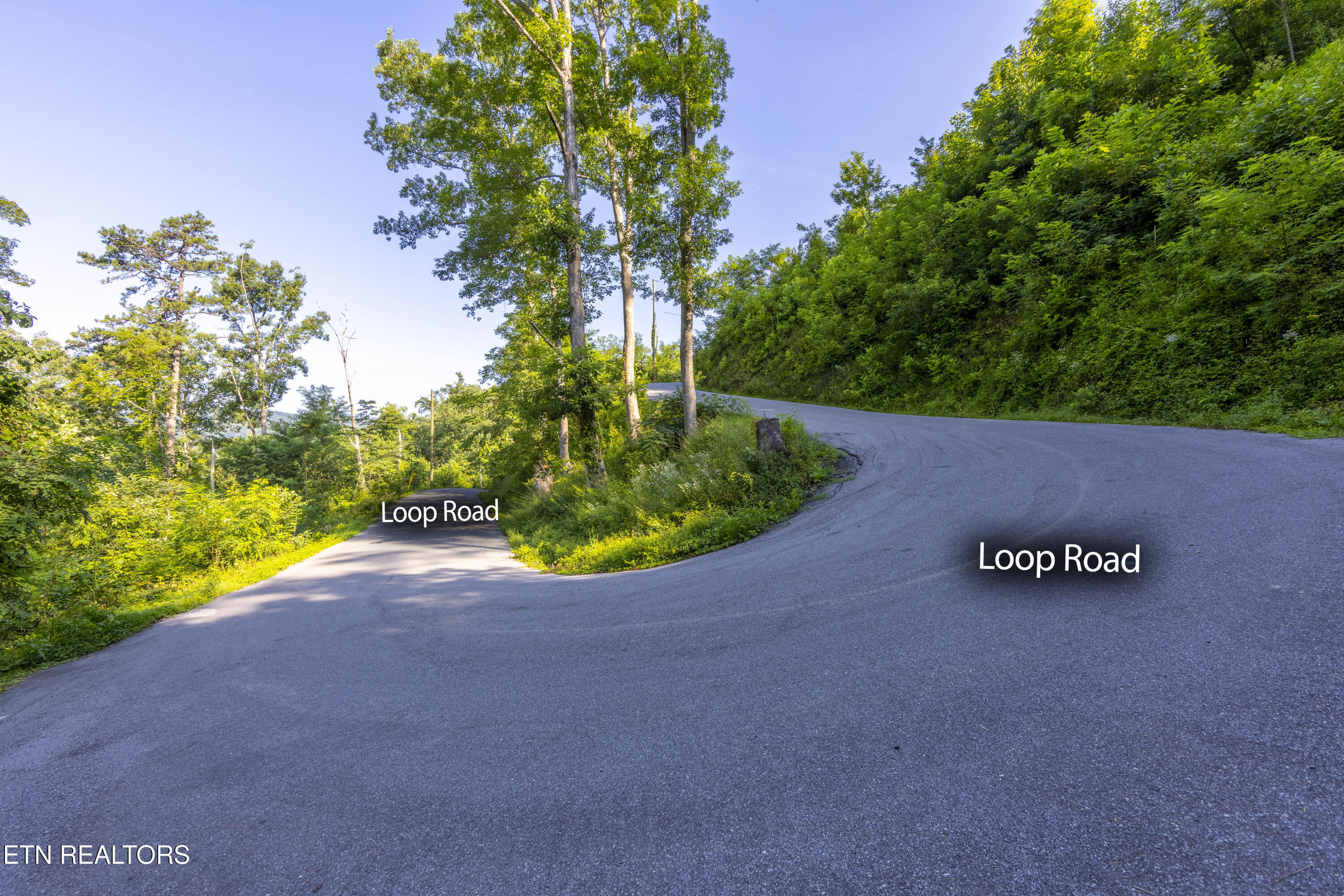 Loop Road Gatlinburg, TN 37738 - Photo 11 of 57 006A9172-HDRm