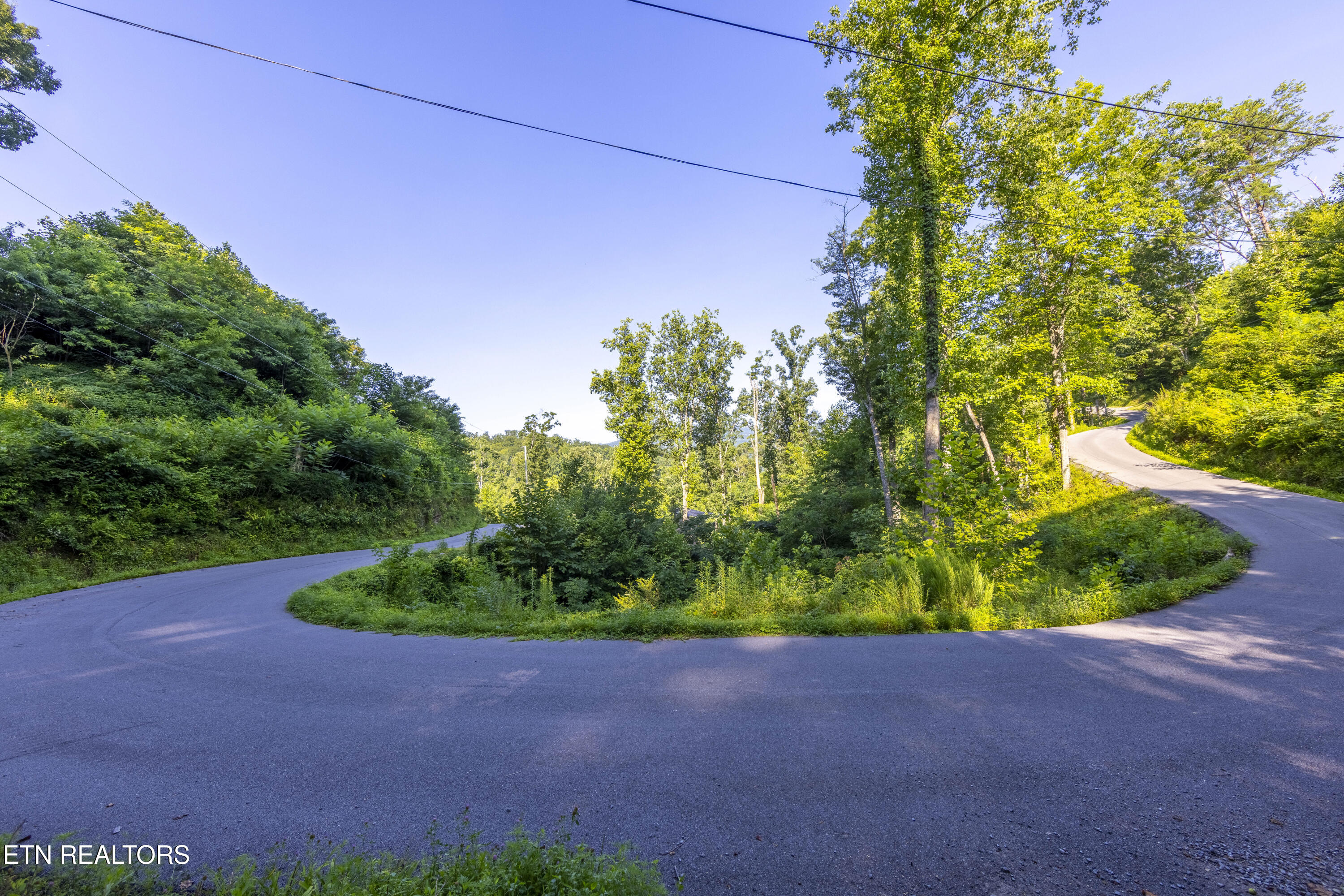 Loop Road Gatlinburg, TN 37738 - Photo 12 of 57 006A9187-HDR