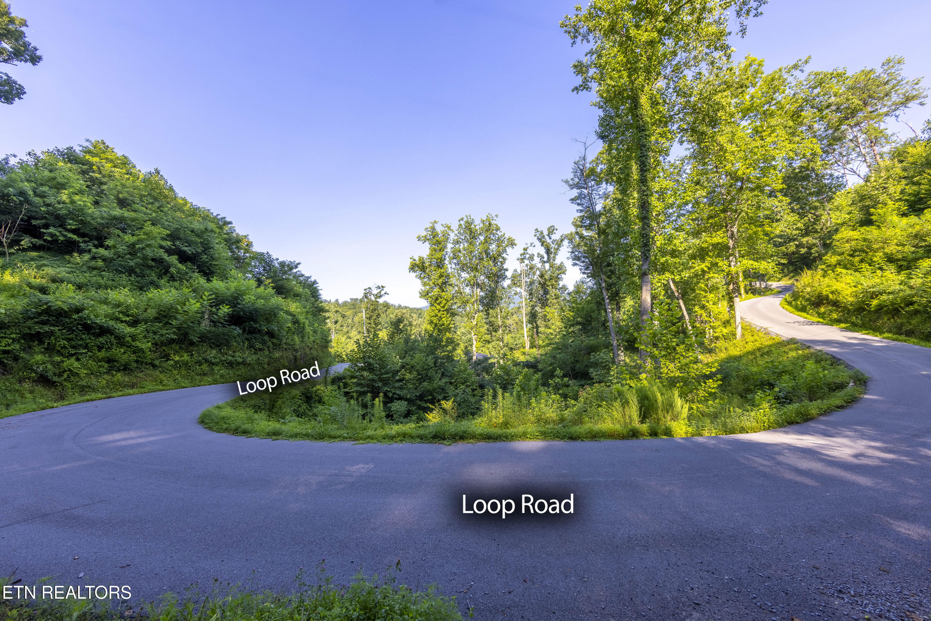 Loop Road Gatlinburg, TN 37738 - Photo 13 of 57 006A9187-HDRM