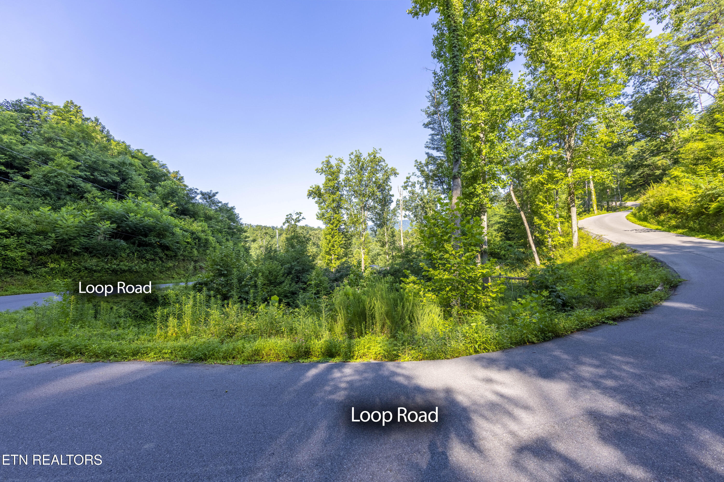Loop Road Gatlinburg, TN 37738 - Photo 15 of 57 006A9192-HDRM