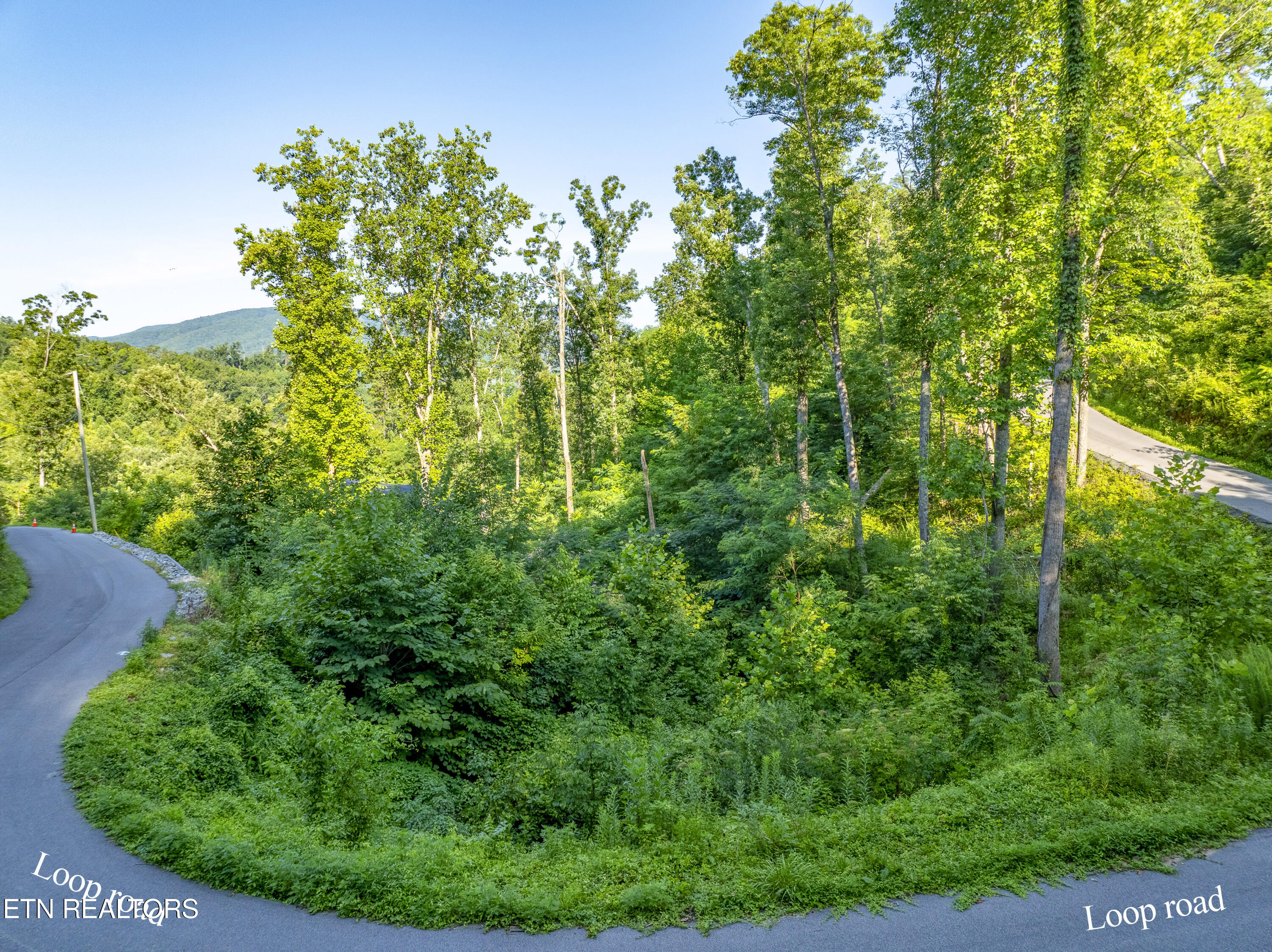 Loop Road Gatlinburg, TN 37738 - Photo 2 of 57 DJI_0299-HDR