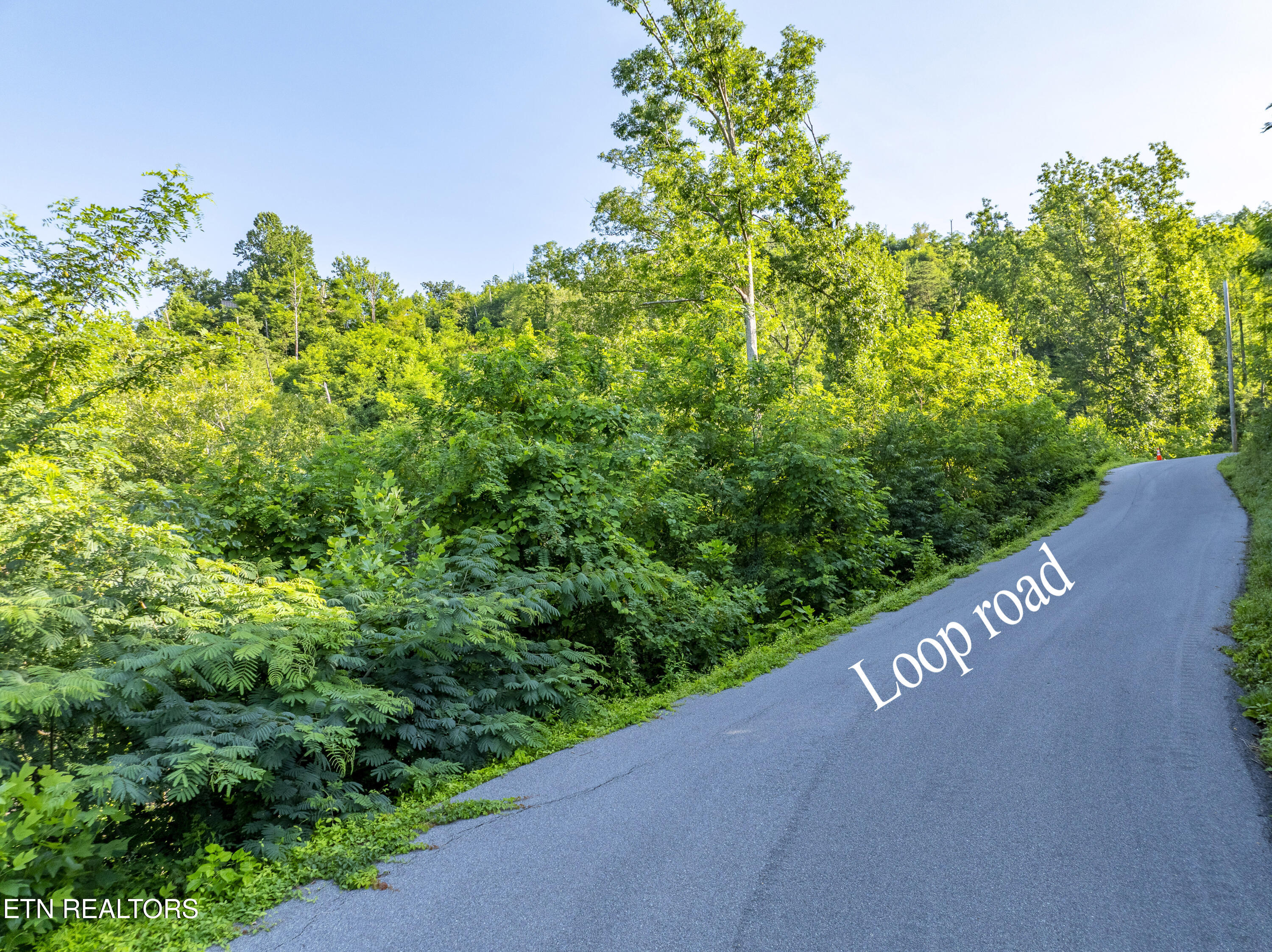 Loop Road Gatlinburg, TN 37738 - Photo 3 of 57 DJI_0309-HDR