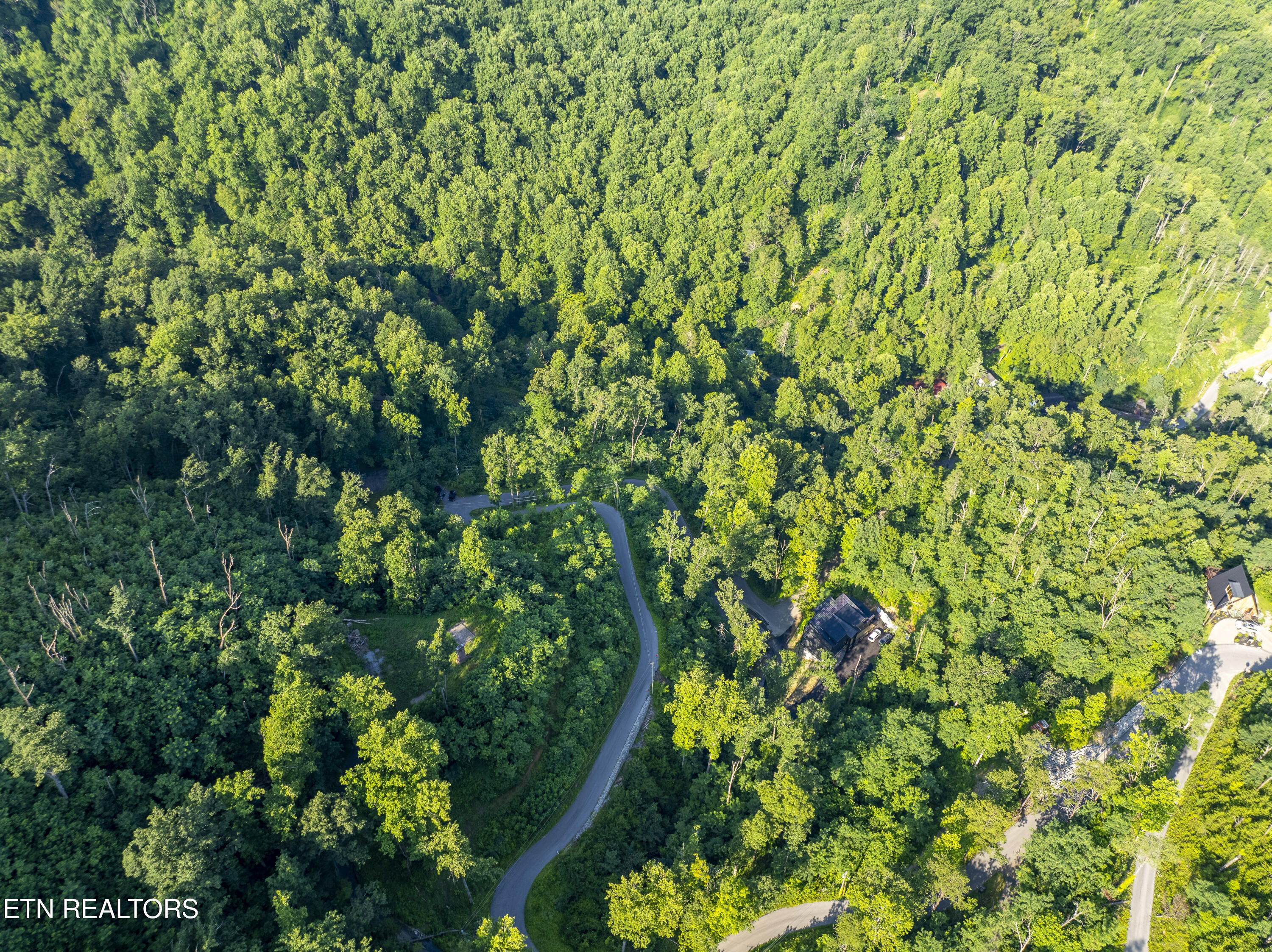Loop Road Gatlinburg, TN 37738 - Photo 31 of 57 DJI_0204-HDR