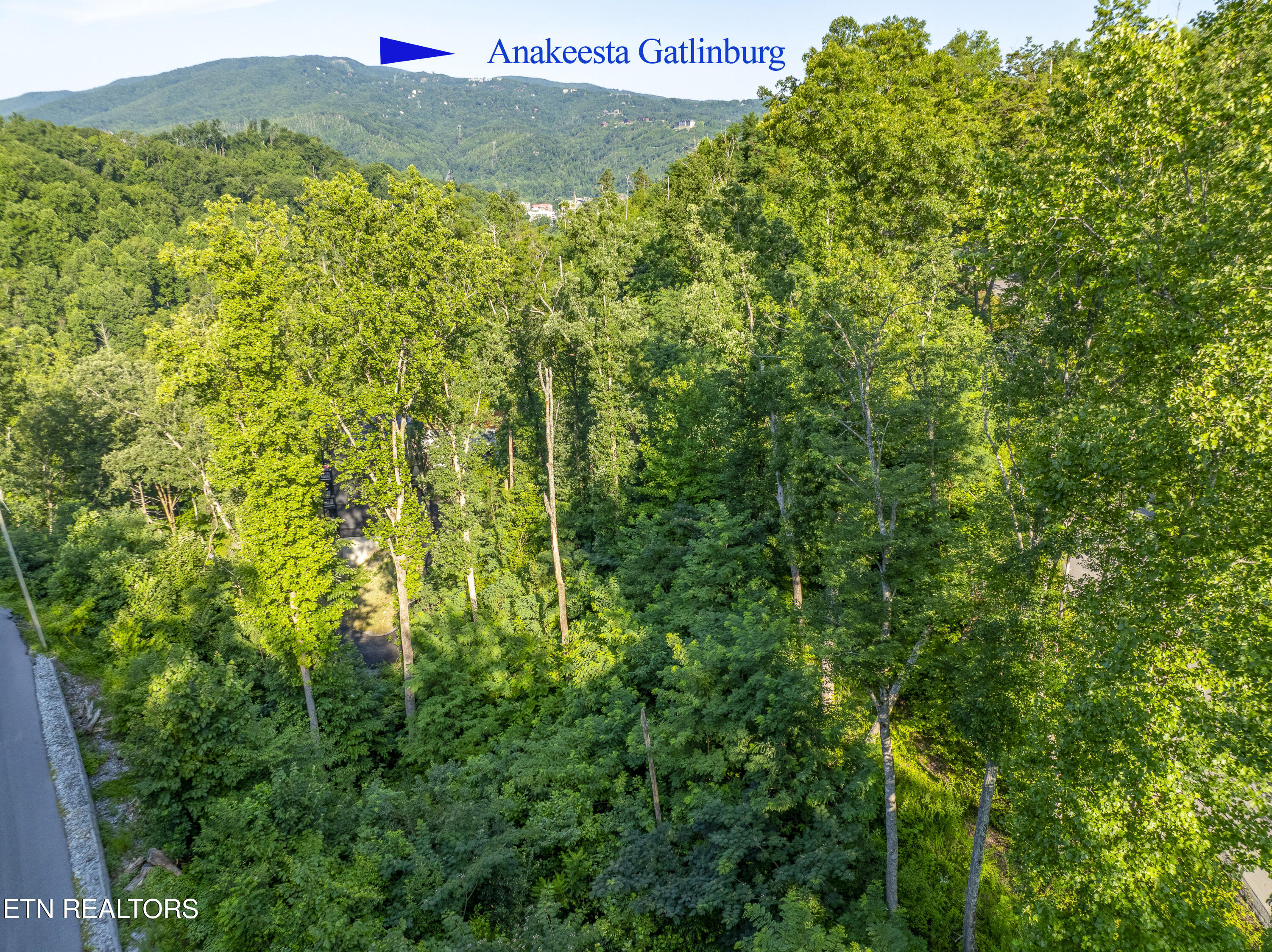 Loop Road Gatlinburg, TN 37738 - Photo 42 of 57 DJI_0254-HDR