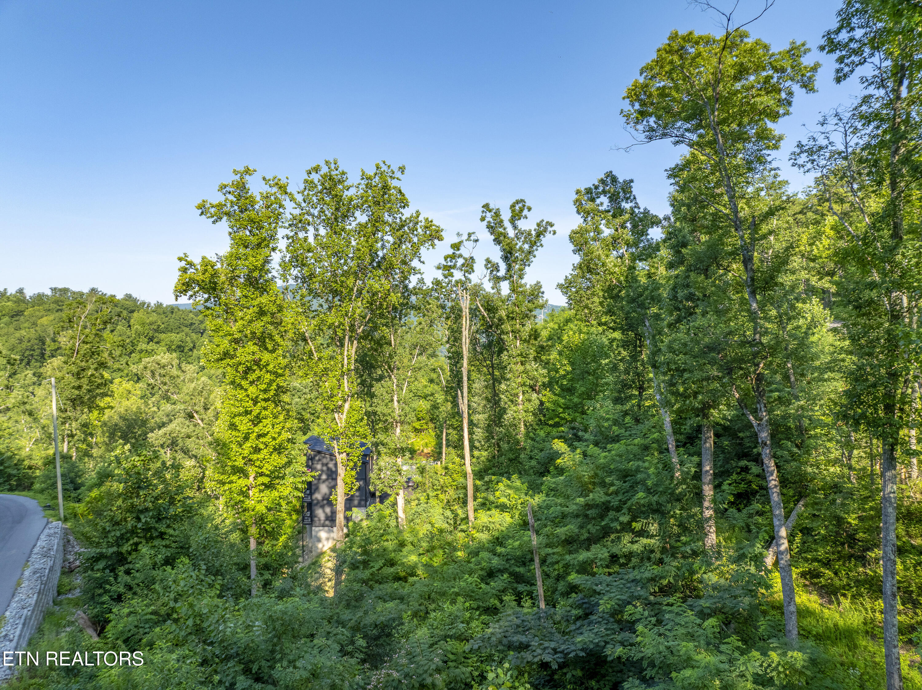 Loop Road Gatlinburg, TN 37738 - Photo 43 of 57 DJI_0259-HDR
