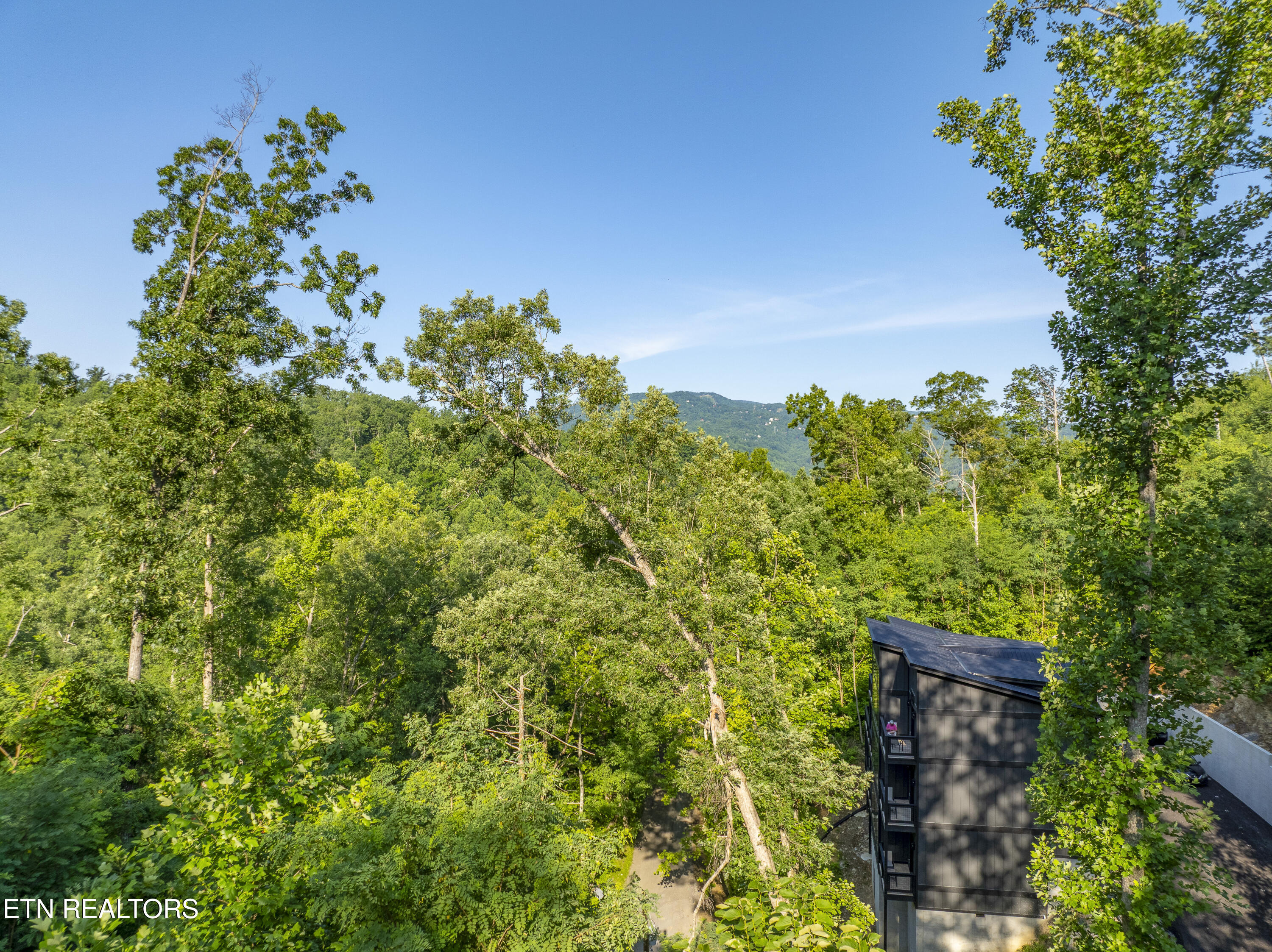 Loop Road Gatlinburg, TN 37738 - Photo 46 of 57 DJI_0274-HDR