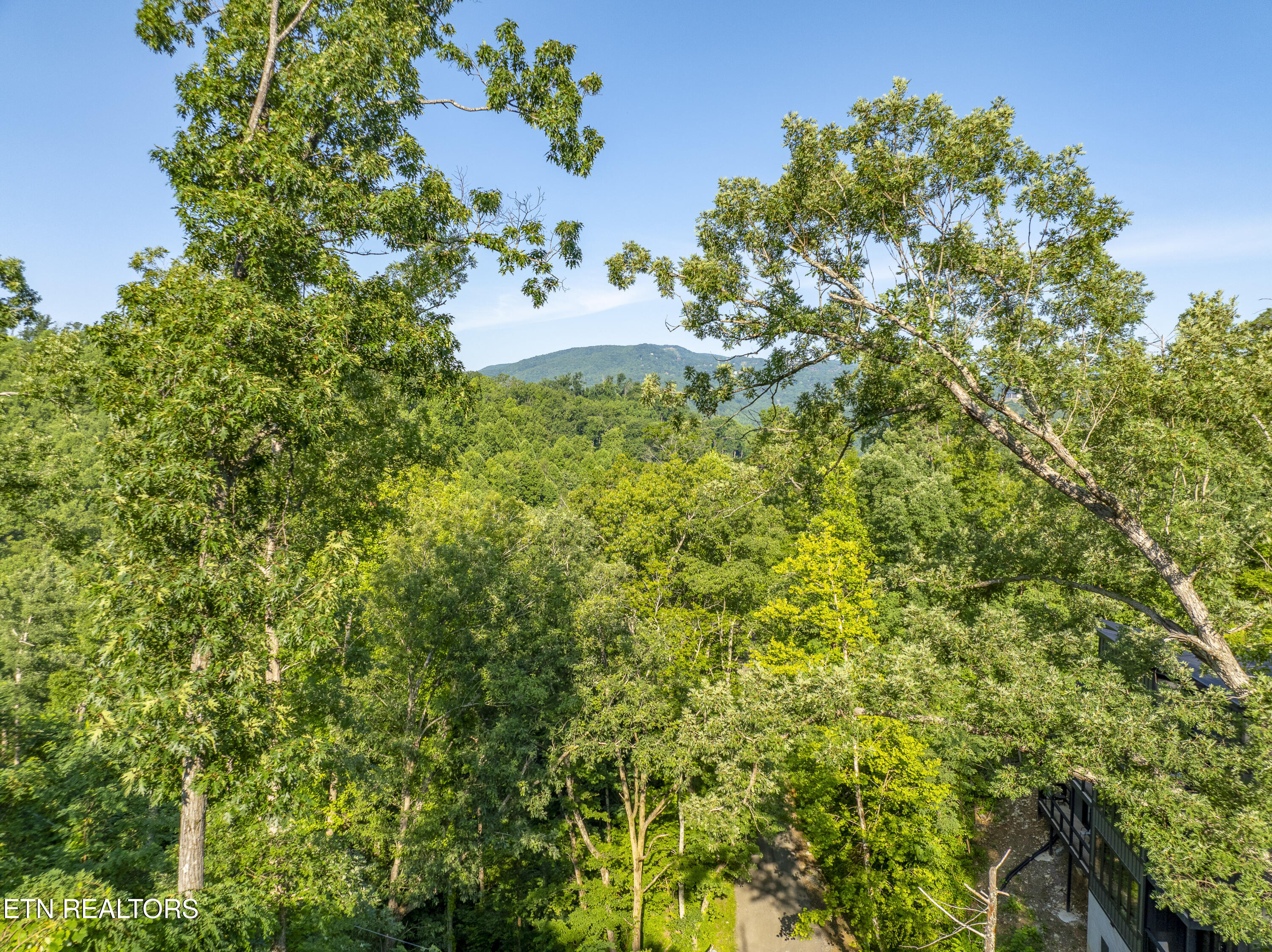 Loop Road Gatlinburg, TN 37738 - Photo 47 of 57 DJI_0279-HDR