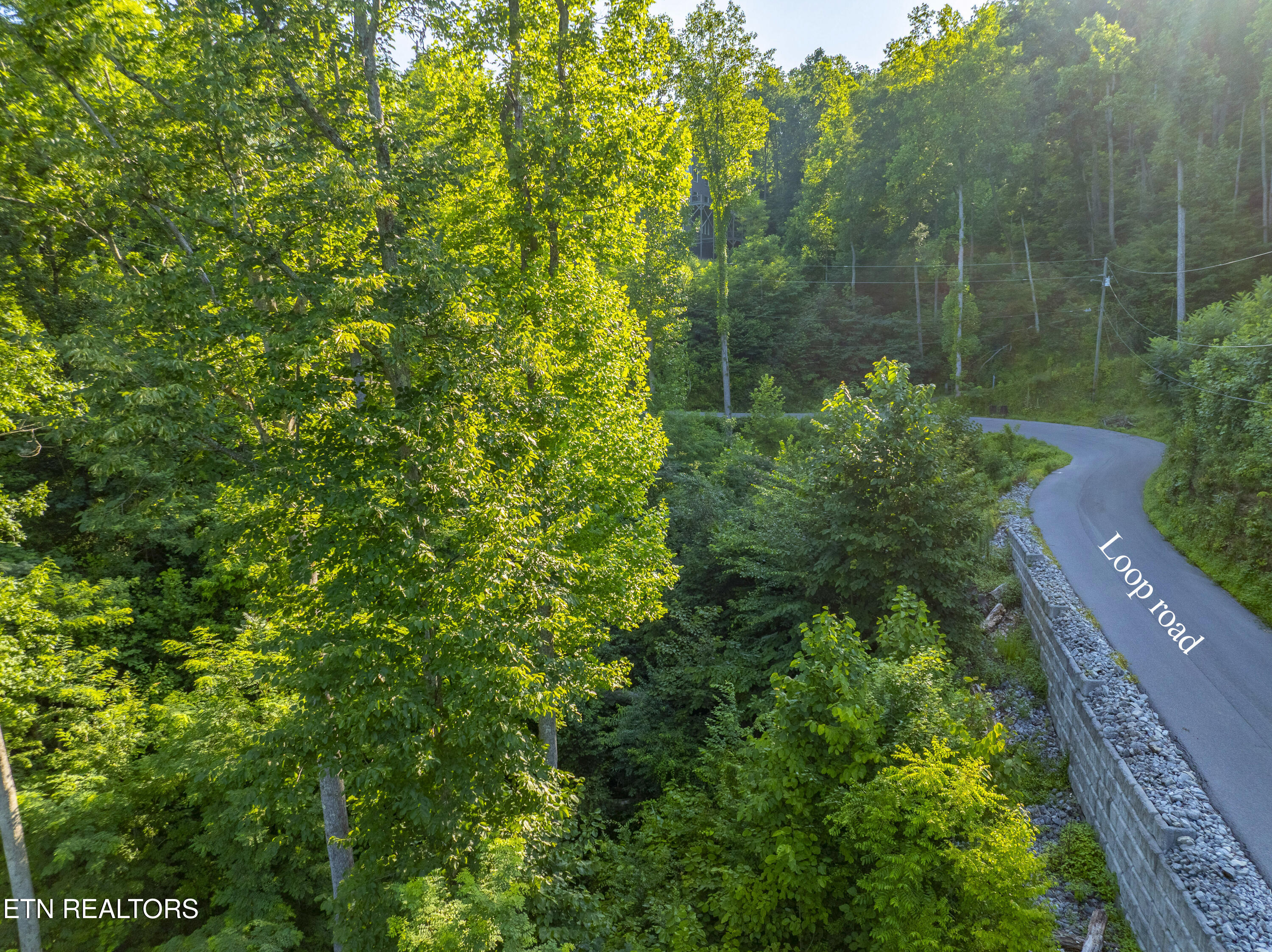 Loop Road Gatlinburg, TN 37738 - Photo 48 of 57 DJI_0284-HDR
