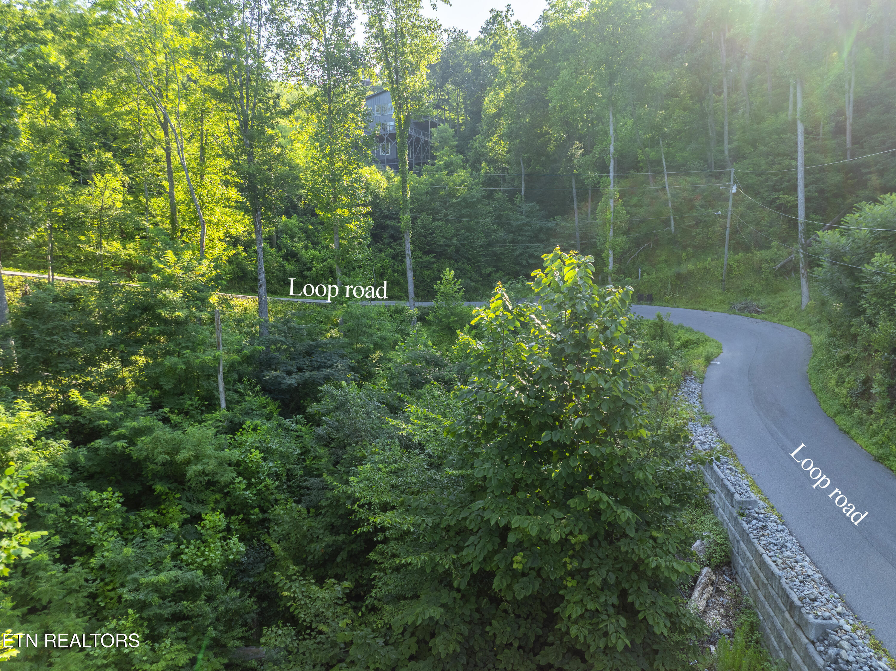 Loop Road Gatlinburg, TN 37738 - Photo 49 of 57 DJI_0289-HDR