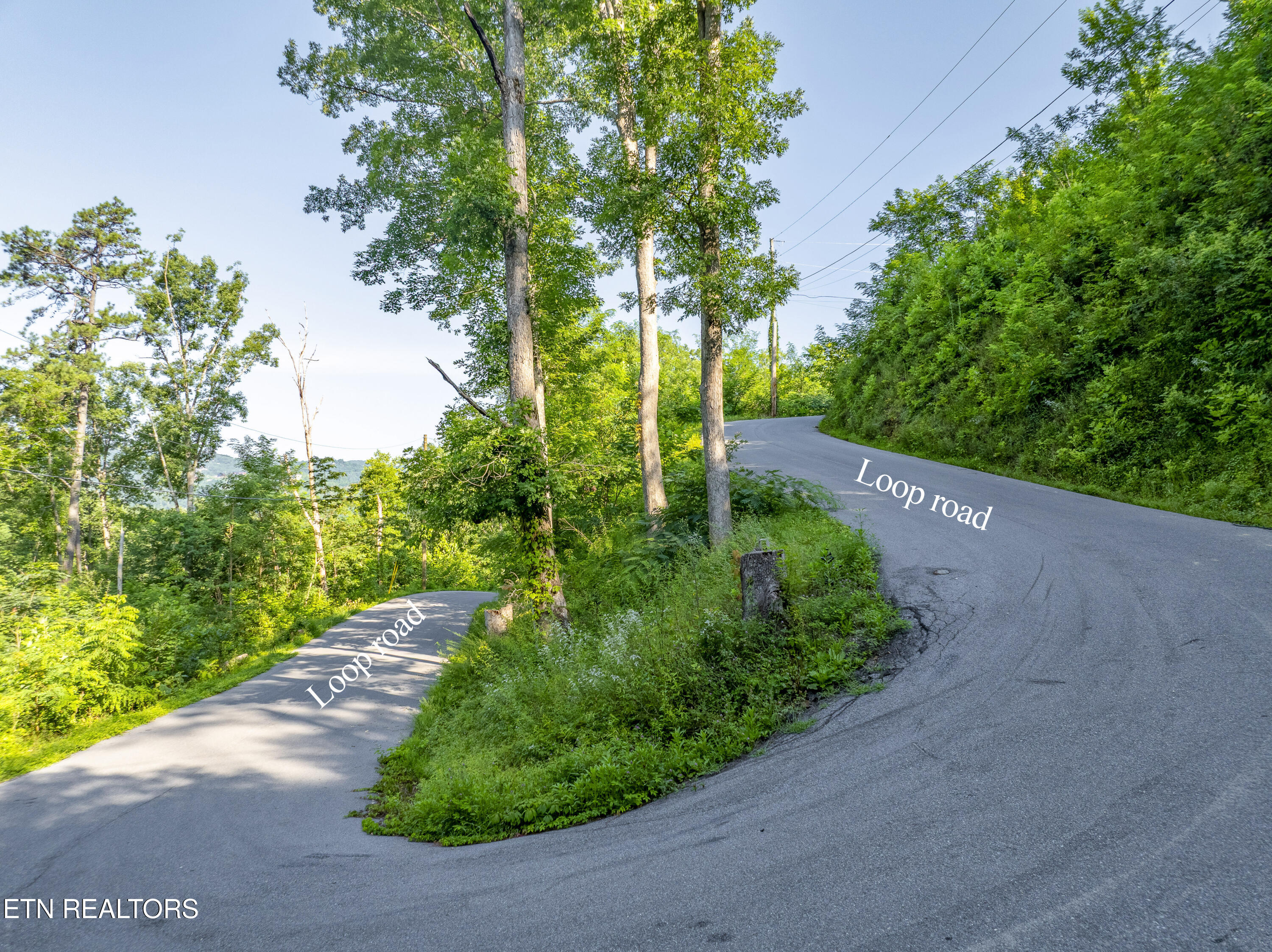 Loop Road Gatlinburg, TN 37738 - Photo 51 of 57 DJI_0319-HDR